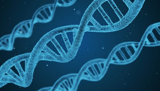 Projekt przestrzenny kwasu DNA z żelków